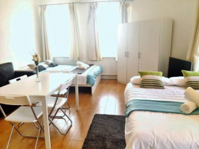 Excellent Studio flat in London